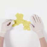 Kwiaty na koniec lata - szablon do zrobienia dekoracji na ścianie lub meblach.