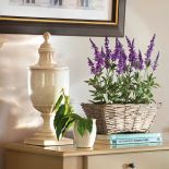 Kwiaty doniczkowe domowe - co wybrać?