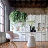 Kwiaty doniczkowe domowe - co wybrać?