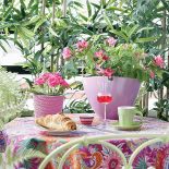 Latem taras w bloku zamienia się w miniogród. Jest bajkowo.