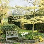 Ławeczka wśród roślin. Żonkile, pierwiosnki i czosnek