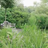 Ławka ukryta wśród zieleni. Ogród w lesie