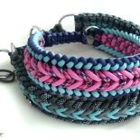 kolorowa obroża dla psa