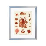 letnie dekoracje do salonu styl hampton