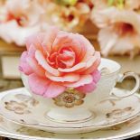 Dzbanek, waza, filiżanka. Wszystko to wyjątkowo dobre miejsca dla róż!