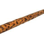 Magiczny kijek. Laska, kolekcja, kijek