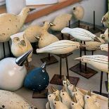 Mają różne dzioby, jedne są grubsze, inne drobne, ale bez wyjątku poczciwe.