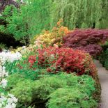 Malarz tworzył rabaty jednobarwne lub w dopełniajacych się kolorach.