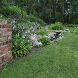 Mały strumyk wpada do stawu. Jak lawenda przegoniła żyto