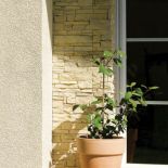 Mexicana 2 jest jak naturalny wapień. STEGU