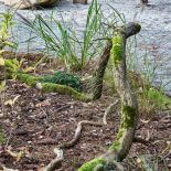 hawrot home miejsce do medytacji