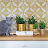 Mieszkanie w Brodnicy. Cały dach mój