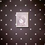 Miś Uszatek , 2005 r., Robert Maciejuk, Galeria Arsenał