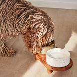 zestaw ceramicznych misek dla psa