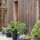 Modrzew pięknie się starzeje, jest smolny, odporny na deszcz. Gdy błyśnie słońce, nagrzewa się. Ale nie parzy jak kamień,