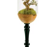 dekoracje wnętrz roślina pod kloszem