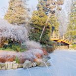 Mostek TAIKO BASHI. Ogród japoński pod śniegiem
