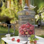 Możemy w niej posadzić kwiaty i zawiesić w oknie, ale także możemy zrobić z niej ażurowy kosz na owoce