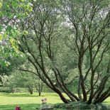 Można się tu poczuć jak w toskańskiej rezydencji, która należy do rodziny od kilkunastu pokoleń.