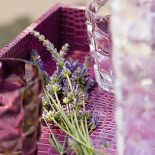 Można z niej robić herbatę, nalewkę, miód a nawet twarożek. W domu jest sporo też akcentów fioletowych.