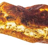 Muzeum Ziemi PAN. Bursztyn