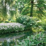 Na brzegach rośną tysiące różnokolorowych liliowców, paproci i traw.