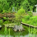 Na karpie rośnie wierzba babilońska. Mostek z egzotycznego drewna oplata glicynia.