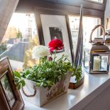 Na parapecie dekoracyjne doniczki, lampiony i ramki ze zdjęciami.