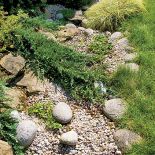 Najpierw można podumać nad strumykiem. Potem poczytać na ławce przy fontannie. A na koniec pooglądać karpie w stawie. Ten