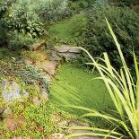 Najpierw można podumać nad strumykiem. Potem poczytać na ławce przy fontannie. A na koniec pooglądać karpie w stawie. Ten