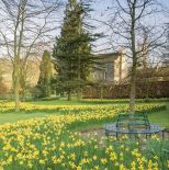 Pełen narcyzów ogród w Painswick