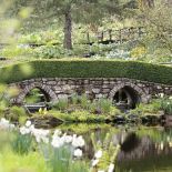 Milion i jeden narcyzów