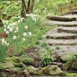 Milion i jeden narcyzów