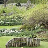 Milion i jeden narcyzów