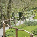 Milion i jeden narcyzów