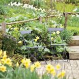 Milion i jeden narcyzów