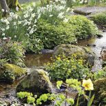 Milion i jeden narcyzów