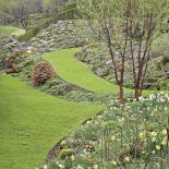 Milion i jeden narcyzów