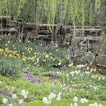 Milion i jeden narcyzów