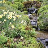 Milion i jeden narcyzów