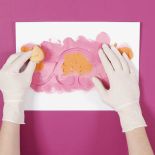 Następnie wypełniamy wzór Kolorem Magnat S51 Pomarańczowy Szafir.