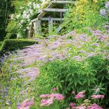 Tulipany, powojniki i szałwie między altanami