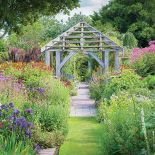 Tulipany, powojniki i szałwie między altanami