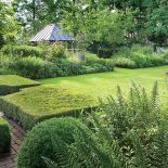 Dom z ogrodem pełnym wysokich drzew