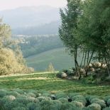 Niesamowity widok na okolice. Prowansja odnaleziona w Kaliforni