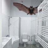 Nietoperz w łazience. Wystarczyła połowa zdjęcia i duże lustro, w którym się odbija. Na szczęście.