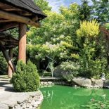 Niewielki staw, który dodaje uroku ogrodowi.