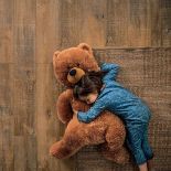 Nowoczesne podłogi do salonu, jadalni i kuchni