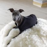 nowoczesny design w starym domu