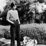 Obecnie willa jest w prywatnych rękach, ale Dallas Museum zrekonstruowało kilka pokoi i słynną klatkę schodową.